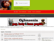 Tablet Screenshot of forum.darzycia.pl